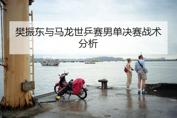 樊振东与马龙世乒赛男单决赛战术分析