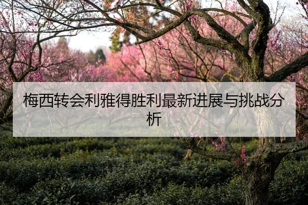 梅西转会利雅得胜利最新进展与挑战分析